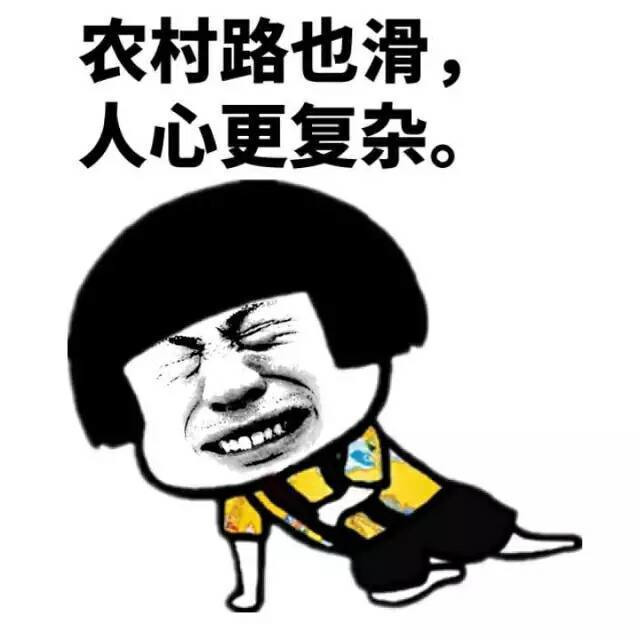 农村路也滑，人心更复杂表情图片