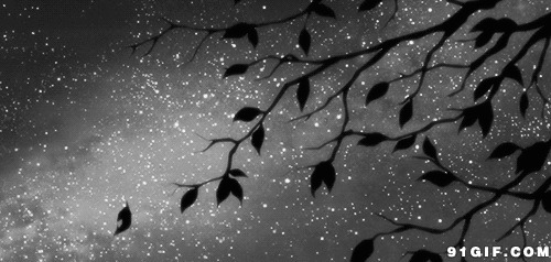 树叶落下的图片:树叶,飘落,星空