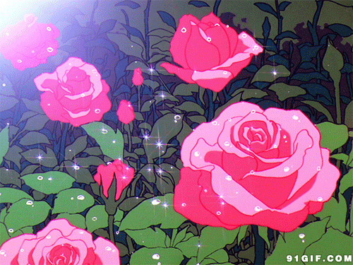 好看的卡通花朵图片:花朵,鲜花,玫瑰