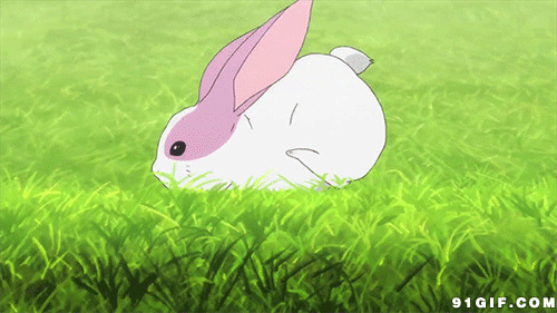 奔跑的兔子卡通图片:兔子