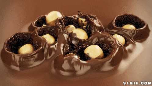 欧式巧克力蛋糕图片:巧克力