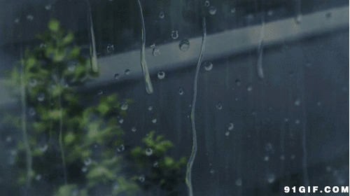 唯美下雨天主题图片:下雨,唯美,水珠