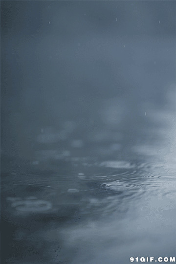 唯美雨水图片:雨水,下雨