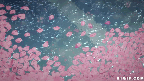 池塘雨水动画图片:池塘,雨水,花瓣