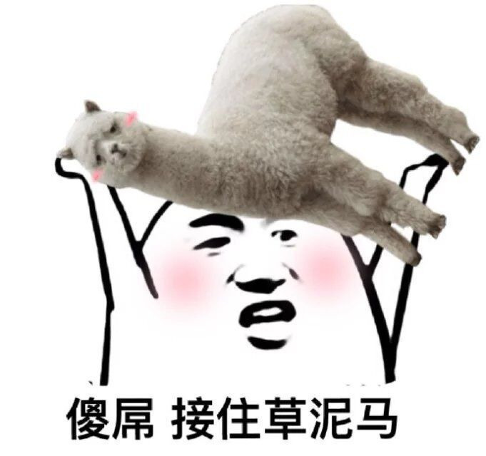 傻屌接住草泥马表情图片