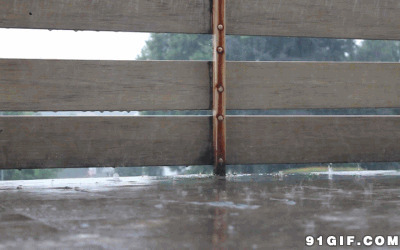 下雨天的图片:下雨,雨水