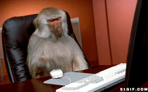 猴子搞笑动态图:猴子,电脑