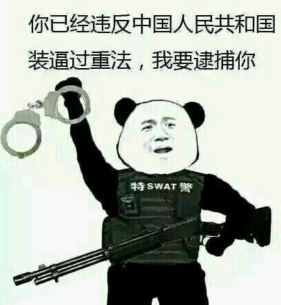 你已经违反了中华人民共和国装逼过重法，我要拘捕你表情图片