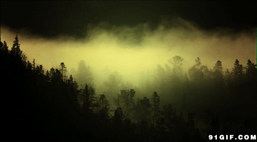 森林迷雾动态图:迷雾,山林,山雾,雾气
