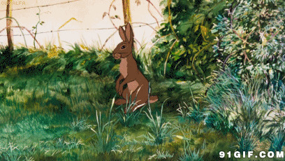 小兔子卡通图片大全:兔子