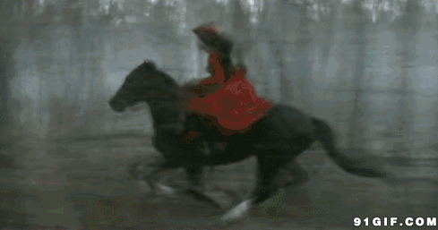 森林骑马飞奔动态图片:骑马