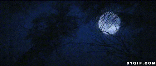夜空月亮图片:月亮,夜晚