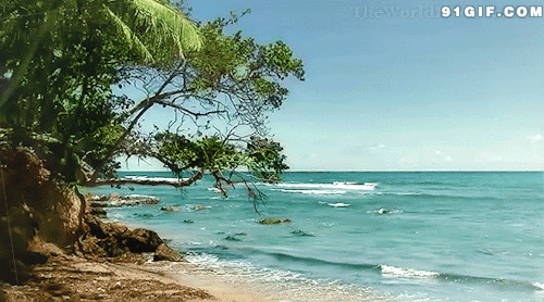 沙滩动态图片:沙滩,海水
