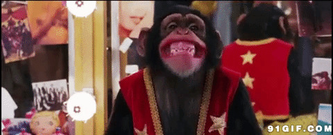 黑猩猩gif图片:猩猩,猴子