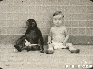 黑猩猩和小孩gif图:猩猩,小孩