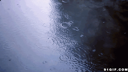 小雨滴图片:雨滴,下雨