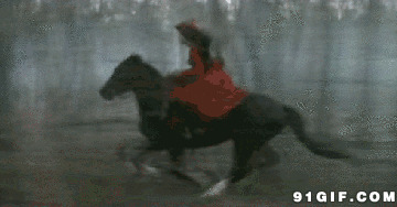 女人骑马动态图片:骑马