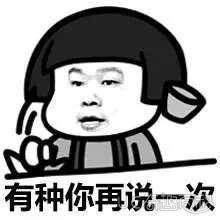 有种你再说一次表情图片