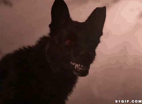 恶狼兽图片:恶狼