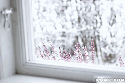 窗外雪景动态图:下雪,雪景