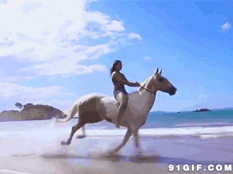 骑马飞奔gif图片:骑马,奔跑,飞奔