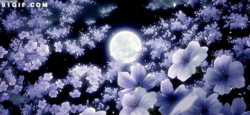 花前月下唯美动态图:花朵,月亮,花瓣,唯美