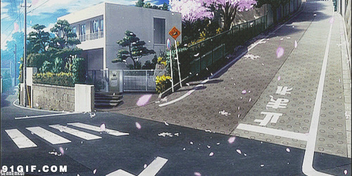 日本街道唯美卡通图片:街道,唯美,花瓣