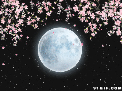 中秋节唯美图片:中秋节,月亮,飘落,唯美