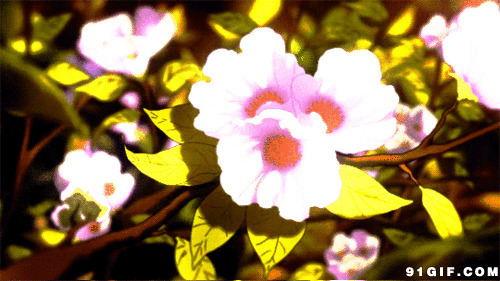 春暖花开卡通图片:花开,开花