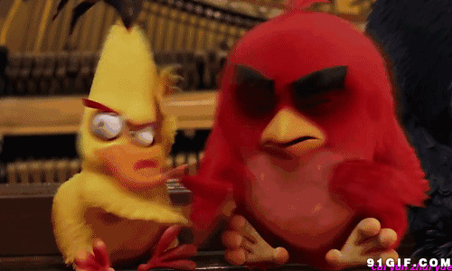 新愤怒的小鸟动画图片:小鸟