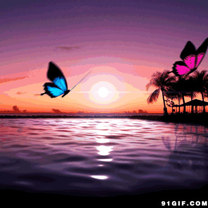 唯美大海蝴蝶飞舞图片:蝴蝶