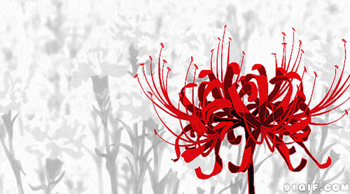花开卡通图片:花开,开花,红花,水仙花