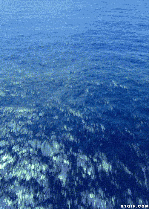 蓝色的大海动态图