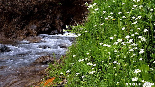 小溪流水风景图片:小溪,唯美,流水