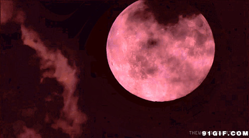 红色月亮的动漫图片:月亮,红色,唯美