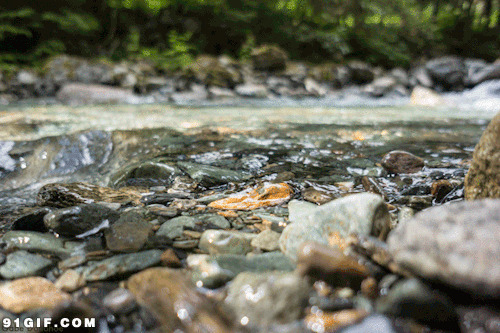 河水清澈透明图片:河水,清澈,河流