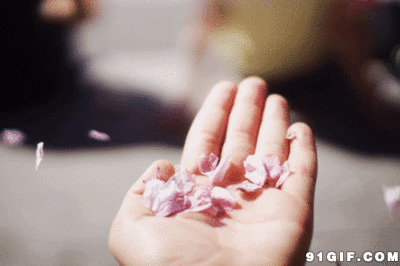 手中的花瓣动态图:手掌,花瓣