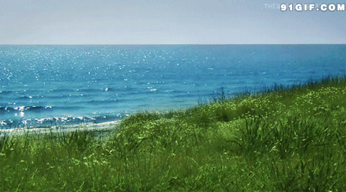 美丽的大海图片:大海,蓝色,绿草