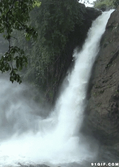 有瀑布的风景图片:瀑布,风景
