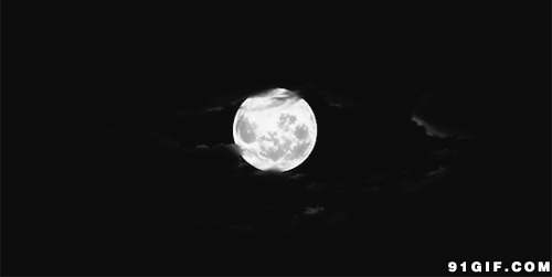 晚上明亮的月光图片