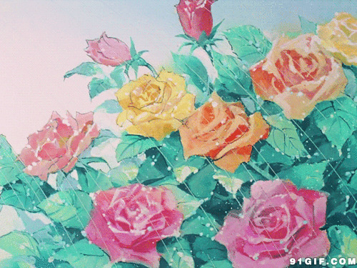 雨中玫瑰花卡通图片:玫瑰花,下雨,唯美