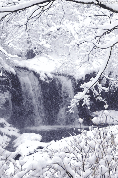 大雪压青松图片:大雪,雪景,瀑布