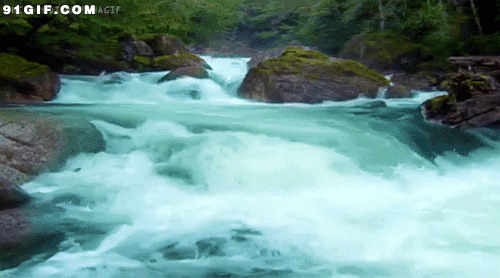 山谷泉水美景动态图:泉水,山谷,流水