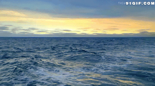 大海波浪起伏动态图片:波浪,浪花,起伏