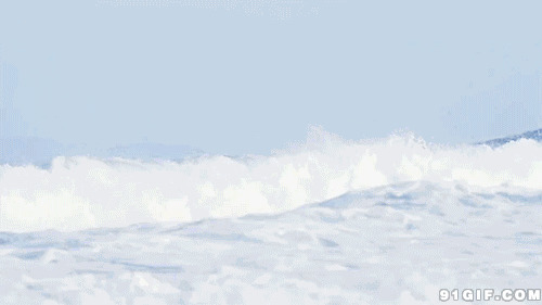 海上极限冲浪图片