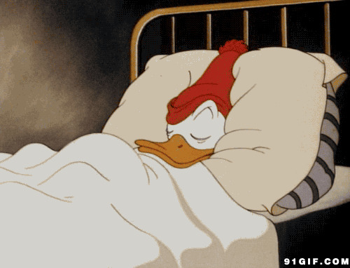唐老鸭动态图片:唐老鸭,动漫,睡觉