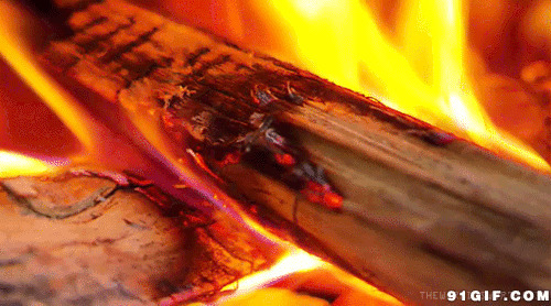 木材燃烧火焰动态图:火焰,燃烧