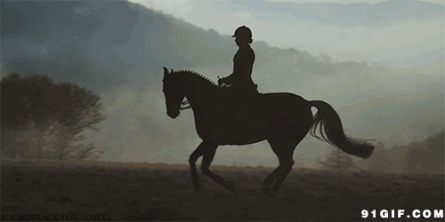 野外骑马图片:骑马,野外