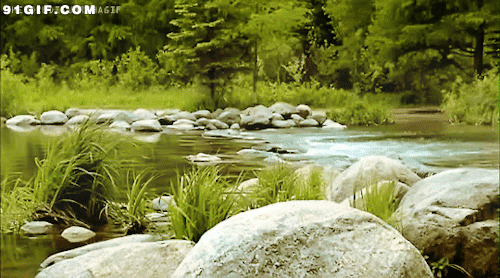 溪水潺潺图片:溪水,风景,流水
