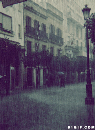 街头下大雨动态图:下雨,街头